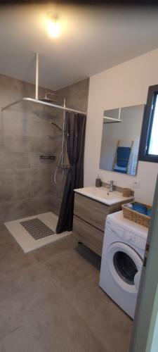 une salle de bain avec douche et machine à laver dans l'établissement Appartement Lelia, à Sotta