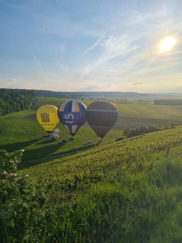 Galeriebild der Unterkunft Maison village vignoble avec balnéo in Mailly-Champagne