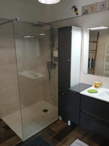 une salle de bain avec une douche en verre et un lavabo dans l'établissement Casa Di sardhina, à Ghisonaccia