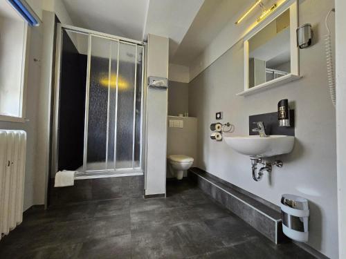 a bathroom with a sink and a toilet at Hotel & Café Schachtenburg in Schlitz