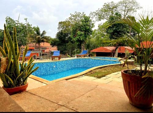 a swimming pool in a yard with some plants at Royalstar Resort in Vagator