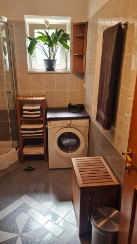 La salle de bains est pourvue de toilettes et d'une fenêtre avec une plante. dans l'établissement Villa Silvija, à Mlini