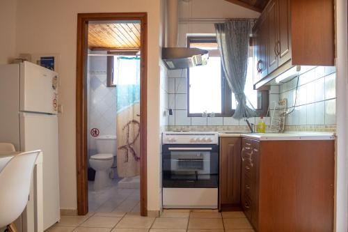 a small kitchen with a sink and a stove at Mamouth Studios in Chania Town