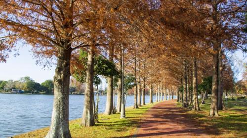 a tree lined path next to a body of water at Toyoko Inn Misato-chuo Ekimae in Misato