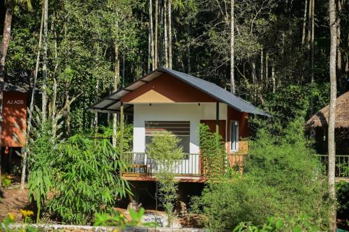 Gallery image of BLUE CREEK Pool property in Meppādi