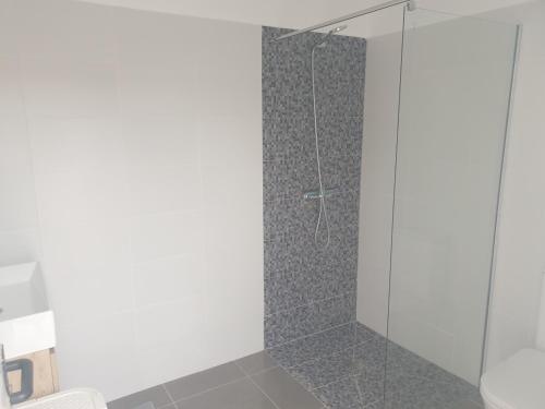 y baño con ducha y puerta de cristal. en Domes1 Tenerife, lujo con el encanto de acampar en Arico