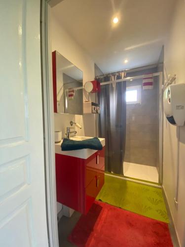 a bathroom with a red sink and a shower at La maison du poulailler in Jargeau