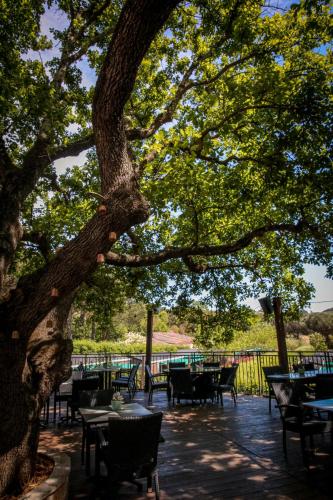 a patio with tables and chairs under a tree at Domaine de Verdagne in Gassin