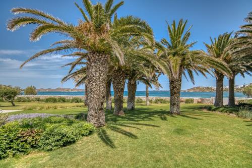 a row of palm trees on a lawn near the water at Villa Bellonia in Naousa