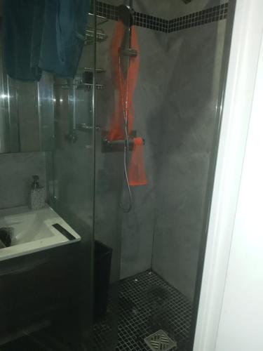 une douche avec une porte vitrée à côté d'un lavabo dans l'établissement J.O STADE, à Saint-Denis