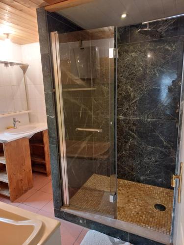 eine Glasdusche im Bad mit Waschbecken in der Unterkunft maison du 13eme siècles in La Genétouze