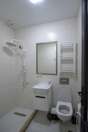 a bathroom with a toilet and a sink and a mirror at Gama Palace in Batumi