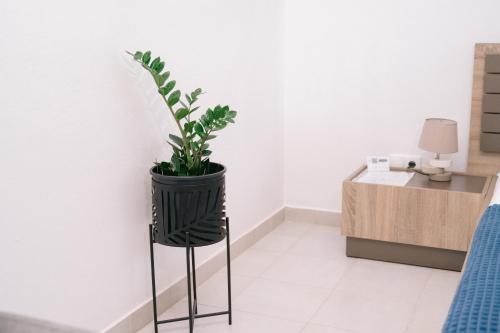 ウルツィニにあるApartments Lungo Mare Ulcinjのギャラリーの写真