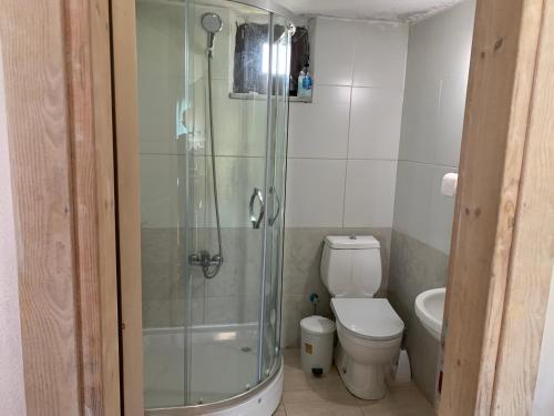 a bathroom with a shower and a toilet at Wifi Hafta sonu kaçamağı wifi in Gelibolu