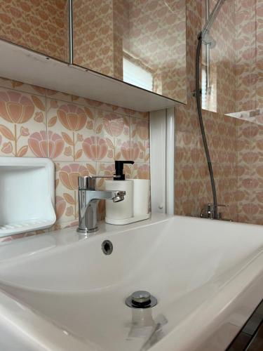a bathroom with a white sink and a mirror at Apartment Ljubljana - Free parking in Ljubljana