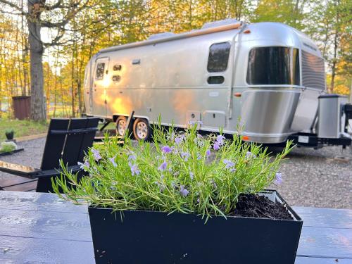 Κήπος έξω από το Glamping Guesthouse - Airstream Experience