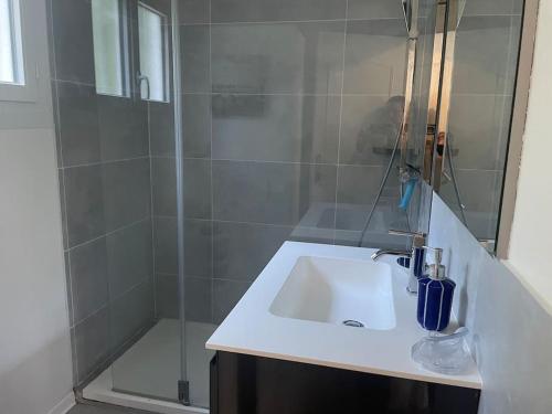a bathroom with a sink and a shower at Maison arcachonnaise proche plage - animaux acceptés in Lanton