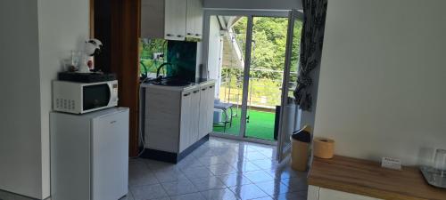 uma cozinha com um micro-ondas e um balcão com um micro-ondas em Ramhouse em Piteşti