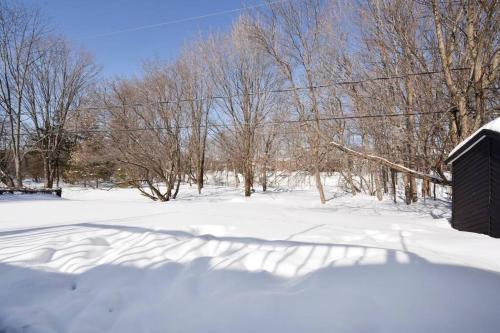 a snow covered yard with trees and a shed at Cozy home with hot tub near airport in Quebec City