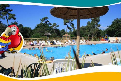 Bungalow à Ronce les Bains