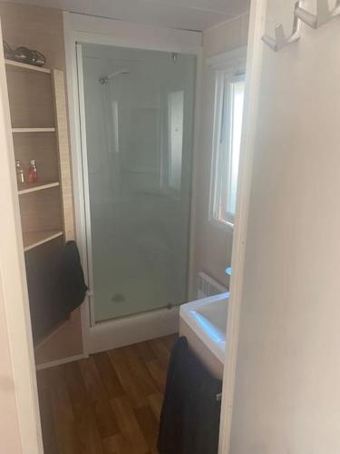 La salle de bains est pourvue d'un lavabo et d'une porte en verre. dans l'établissement Bungalow à Ronce les Bains, à La Tremblade