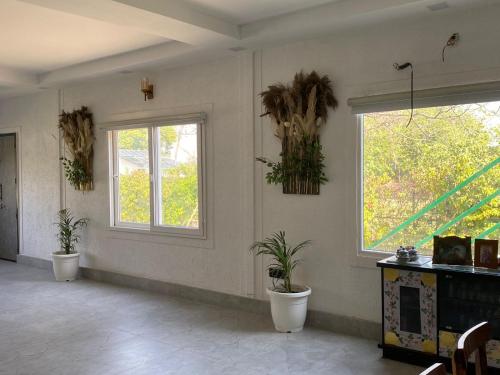 a room with two potted plants and two windows at X-Plosiv Farm in Noida
