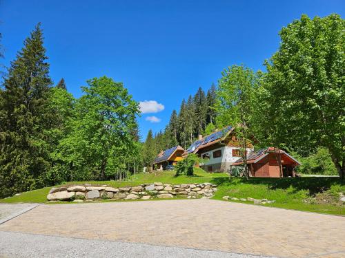 a house with a driveway in front of a forest at POHORJE HOUSE 2 FOUR APPARTMETNS in Oplotnica