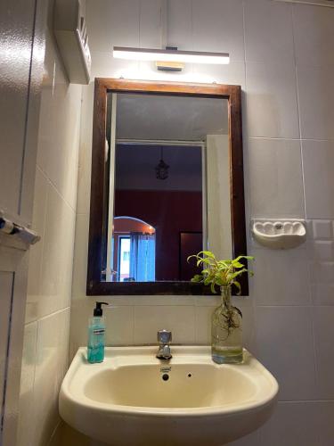 a bathroom sink with a mirror and a vase with a plant at Coco Moon Morjim in Morjim