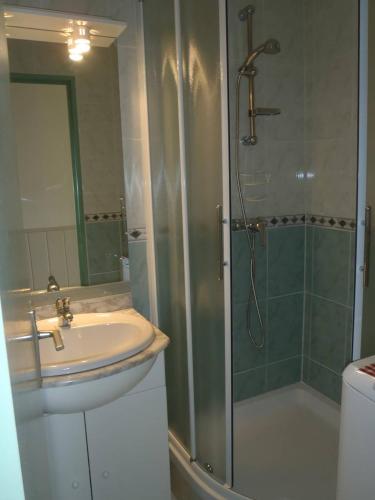 une salle de bain avec un lavabo et une douche dans l'établissement APPT 3 PIECES 35m2 + TERRASSE 13m2 REF 4010, à Le Castellas