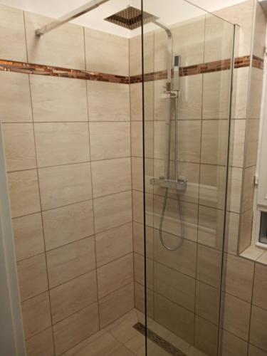 y baño con ducha y puerta de cristal. en Borostyán Vendégház Dunasziget, en Dunasziget