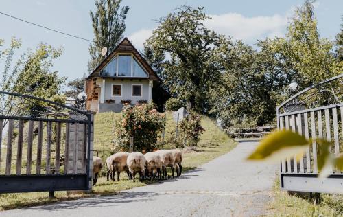 a herd of sheep walking down a road next to a house at Ferienhaus am HerbstHof in Leutschach