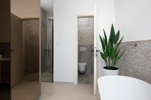 a bathroom with a glass shower and a plant at Villa Estrella in Medulin for 10 people with sauna & whirpool just 6 m from the sea in Medulin