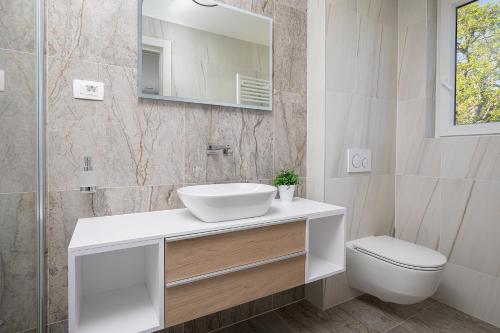 a bathroom with a sink and a toilet and a mirror at Villa Estrella in Medulin for 10 people with sauna & whirpool just 6 m from the sea in Medulin