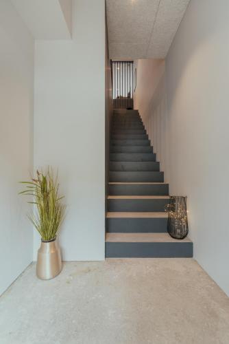 a staircase in a building with a potted plant at Seadreams Nest - Luxurious Waterfront Retreat in Vestmanna