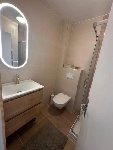 une salle de bain avec un lavabo, des toilettes et un miroir dans l'établissement Appartement L'Anjaure - Lavandou, au Lavandou