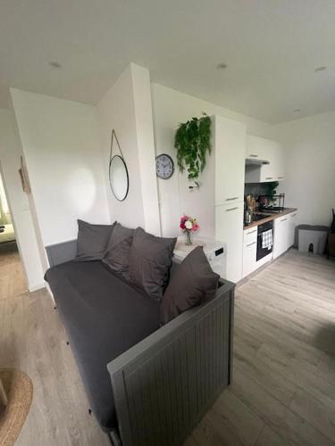 - un salon avec un canapé dans l'établissement F4 Élégant - Strasbourg Cosy, à Strasbourg