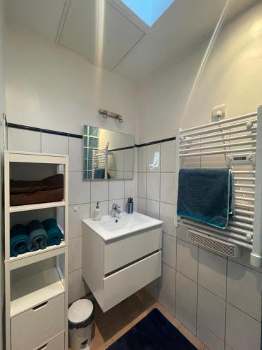 ein weißes Badezimmer mit Waschbecken und Spiegel in der Unterkunft Charmante maison idéalement située, centre-ville in Castres