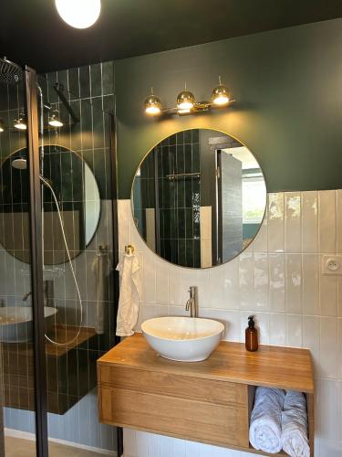 une salle de bain avec un lavabo et un miroir dans l'établissement Appartement Proche Hôpital, Jardin privatif, à La Tronche