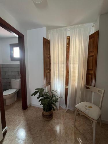 baño con aseo, silla y planta en Alojamiento La Escalera, en Alhama de Granada