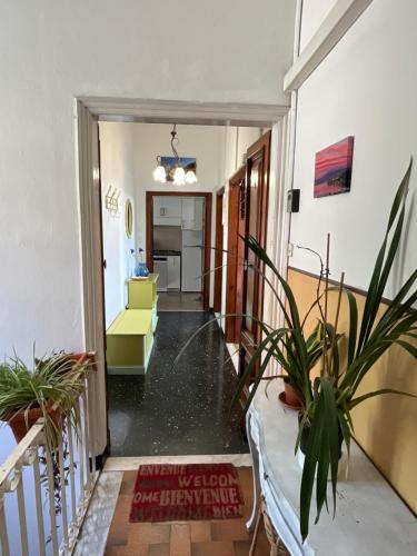 einen Flur mit Topfpflanzen in einem Gebäude in der Unterkunft Appartamento Case Rosse in Le Grazie