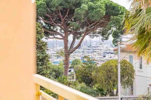un arbre sur un balcon avec vue sur un port dans l'établissement Festival de Cannes Beau 2 p piscine, plage de sable, à Vallauris