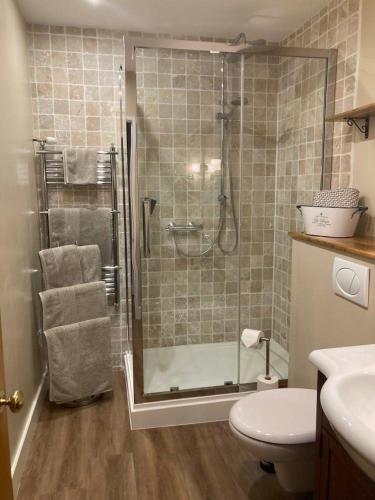 une salle de bain avec douche et toilettes dans l'établissement Chambres & Table d'hôtes de La Vieille Ferme, à Salon-la-Tour