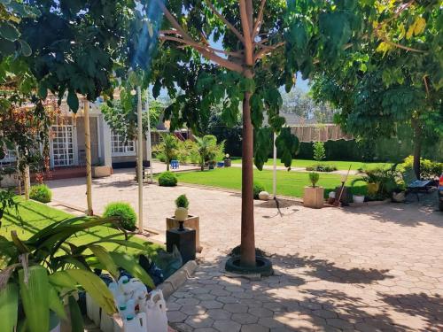 a tree in the middle of a courtyard at Luxury 2BR apartment in Usa River