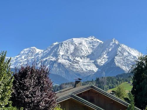 Appartement Luxe comme un Chalet - vue exceptionnelle