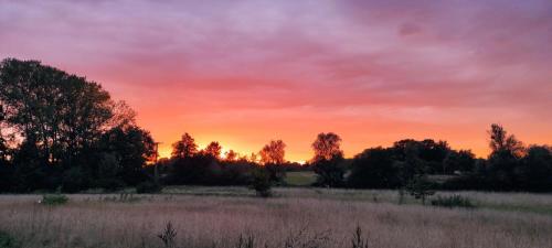 un coucher de soleil dans un champ planté d'arbres en arrière-plan dans l'établissement Bivouac, à Le Fay