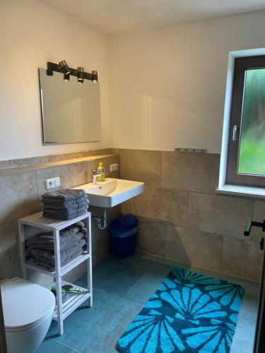 a bathroom with a sink and a toilet and a mirror at Ferienhaus Siedenberg in Manholding