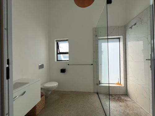 a bathroom with a toilet and a glass shower at GreenHouse APARTMENT in Mount Road