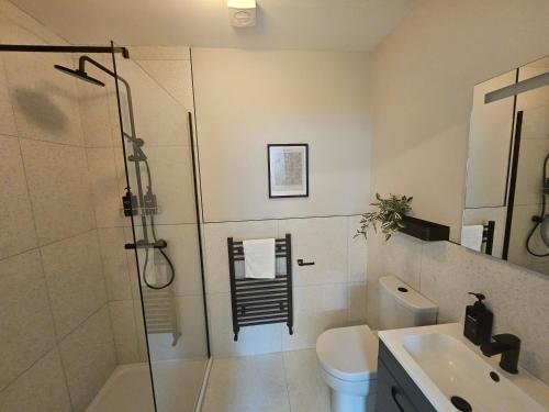 a bathroom with a shower and a toilet and a sink at Tatlers Guest House in Roscommon