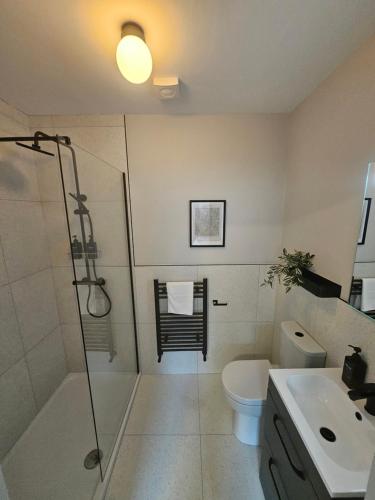 a bathroom with a shower and a toilet and a sink at Tatlers Guest House in Roscommon