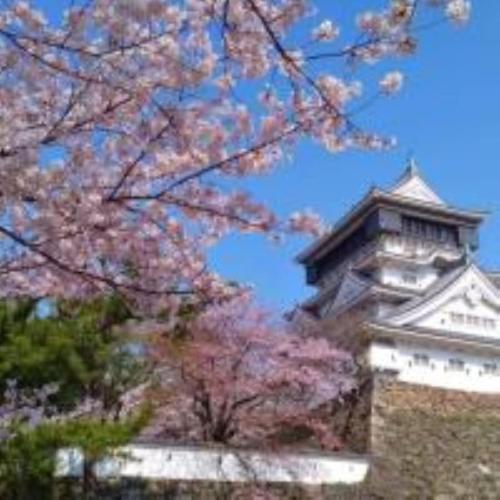 a tree with pink flowers in front of a building at Vessel Hotel Kanda Kitakyushu Airport in Kanda